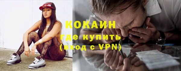 стаф Сясьстрой