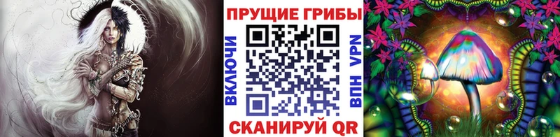 Псилоцибиновые грибы Cubensis  Холмск 